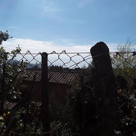 Villetta A Schiera Nei Pressi Del Mare Livorno Exterior photo